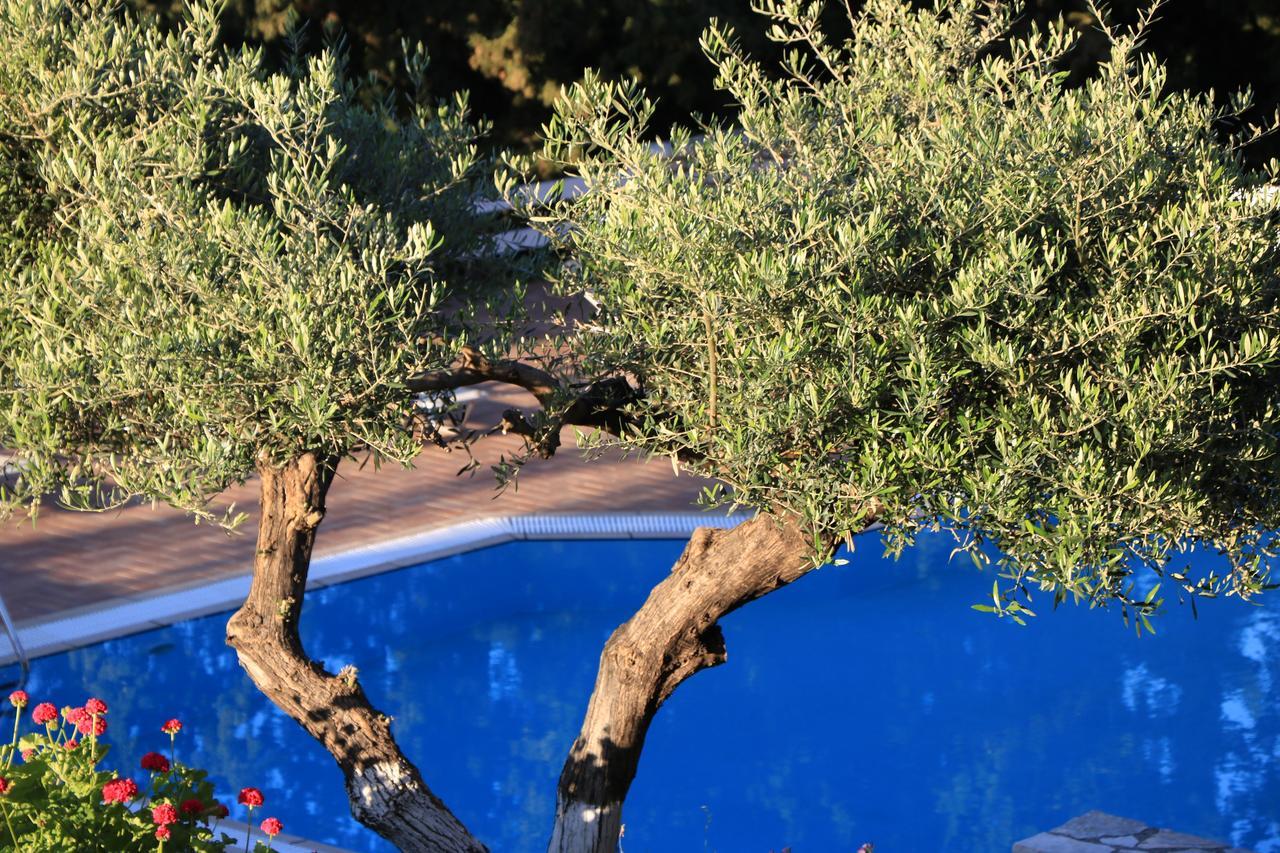 Myrto Homes Lefkada Agios Nikitas Greece Ngoại thất bức ảnh